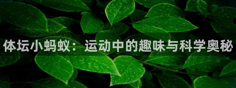 意昂4体育和杏耀是哪个公司的：体坛小蚂蚁：运动中的趣味与科学奥秘