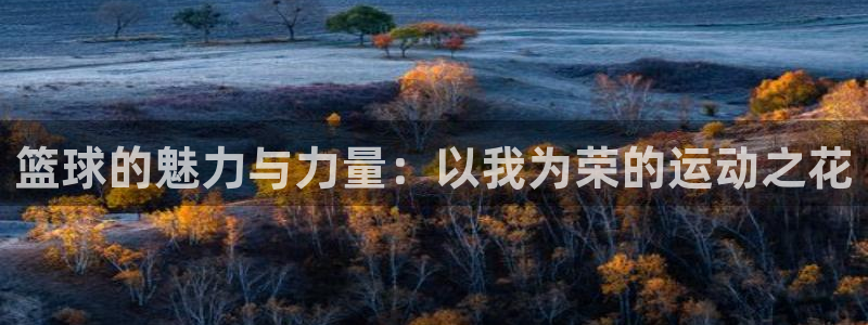 意昂44注册：篮球的魅力与力量：以我为荣的运动之花