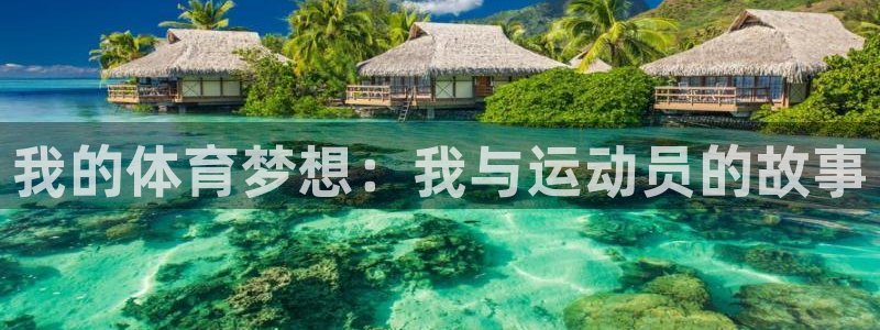 意昂4老板：我的体育梦想：我与运动员的故事