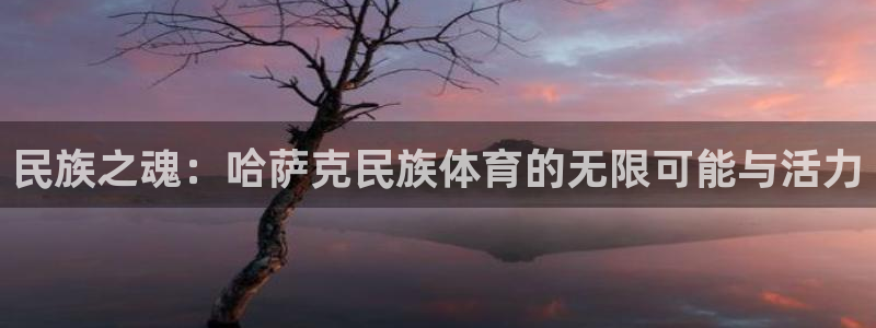 意昂4平台总代理：民族之魂：哈萨克民族体育的无限可能与活力