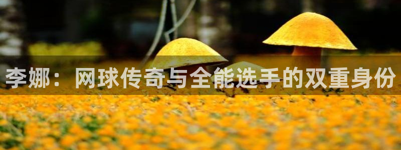 意昂4体育官网登录：李娜：网球传奇与全能选手的双重身份