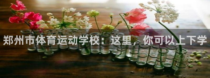 意昂43代理：郑州市体育运动学校：这里，你可以上下学