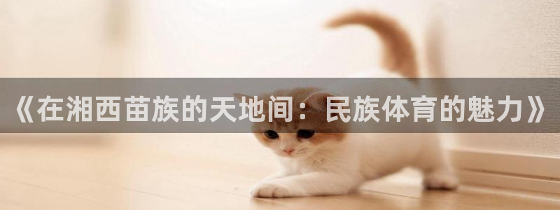 意昂43官网：《在湘西苗族的天地间：民族体育的魅力》