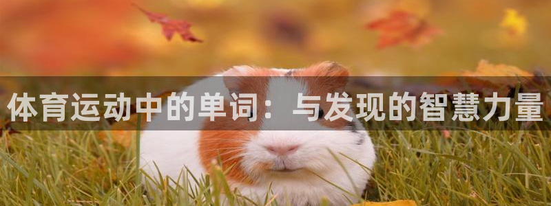 意昂4能源：体育运动中的单词：与发现的智慧力量