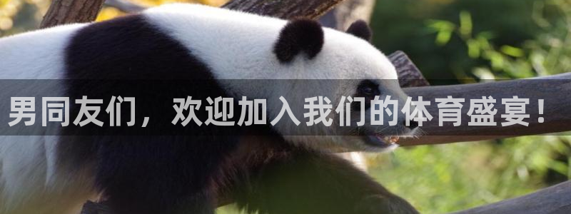 意昂4体育平台登录入口：男同友们，欢迎加入我们的体育盛宴！