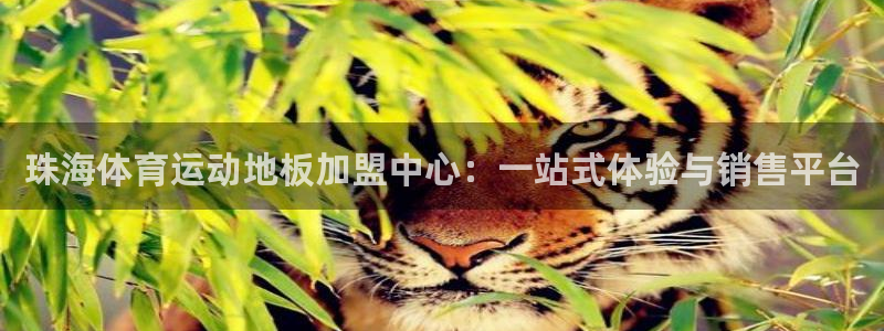 意昂4体育注册平台：珠海体育运动地板加盟中心：一站式体验与销售平台