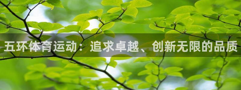 意昂4在线注册：五环体育运动：追求卓越、创新无限的品质