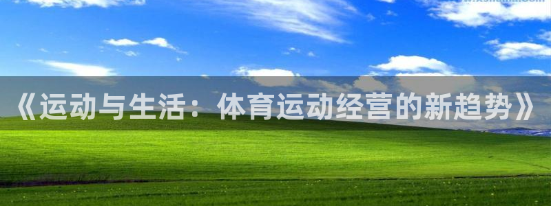 意昂4是谁开发的