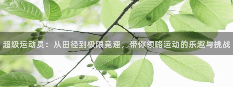 意昂4平台招商