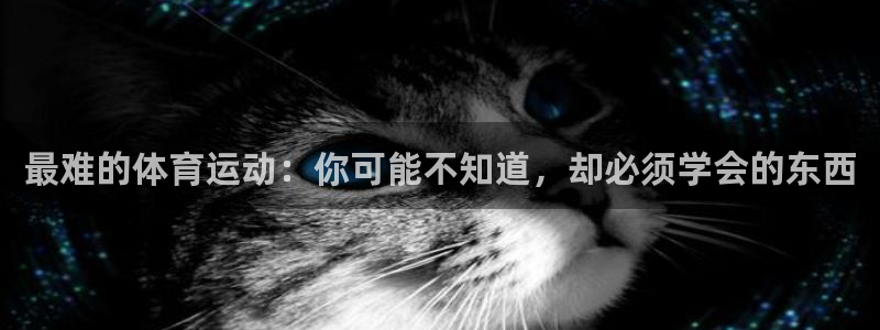 意昂4体育代理