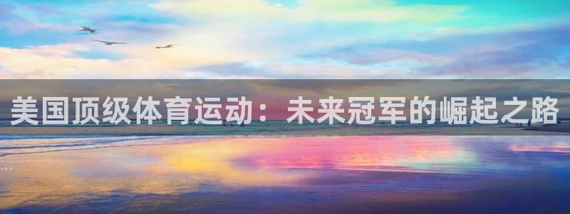 意昂4平台：美国顶级体育运动：未来冠军的崛起之路
