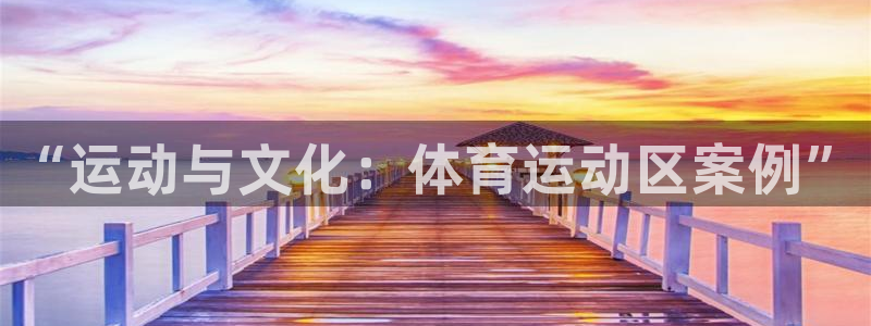意昂4体育凯捷平台招商：“运动与文化：体育运动区案例”