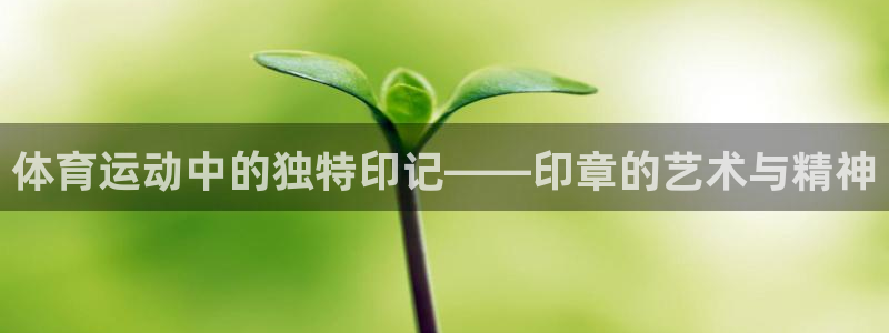 意昂4平台开户链接：体育运动中的独特印记——印章的艺术与精神
