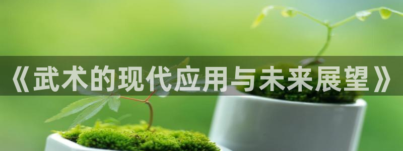意昂4注册：《武术的现代应用与未来展望》