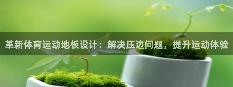 意昂4体育2：革新体育运动地板设计：解决压边问题，提升运动体验