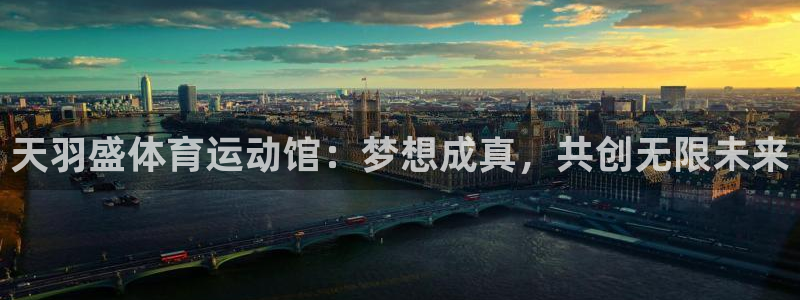 意昂4登录：天羽盛体育运动馆：梦想成真，共创无限未来