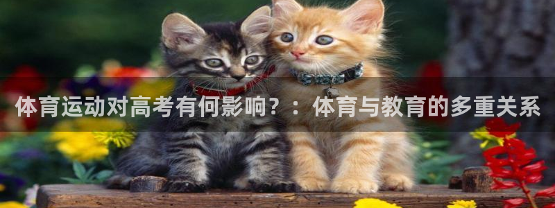 意昂44平台注册：体育运动对高考有何影响？：体育与教育的多重关系