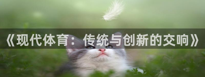 意昂4体育2官网入口：《现代体育：传统与创新的交响》