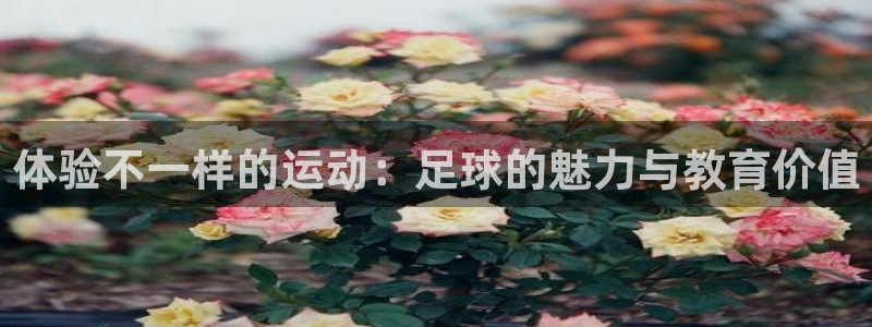 福建意昂4机电股份公司
